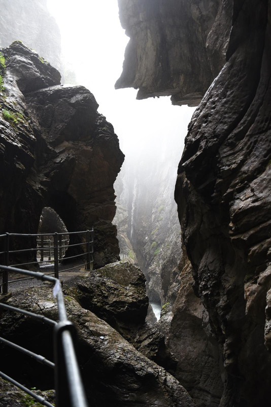 Huyendo del COVID a los Alpes (2020) - Blogs de Suiza - De casa a Grindelwald (Zona de Interlaken) (77)