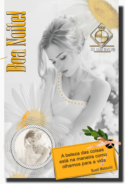 NOVO588-MB-maryluz.gif