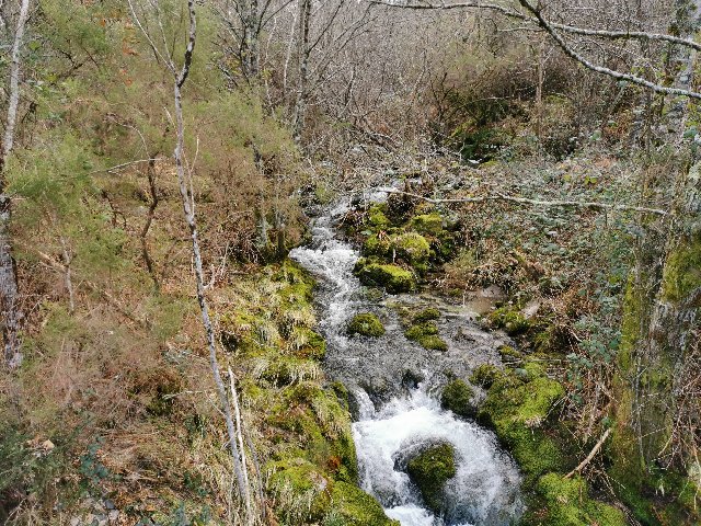 IMG-20200126-184241.jpg