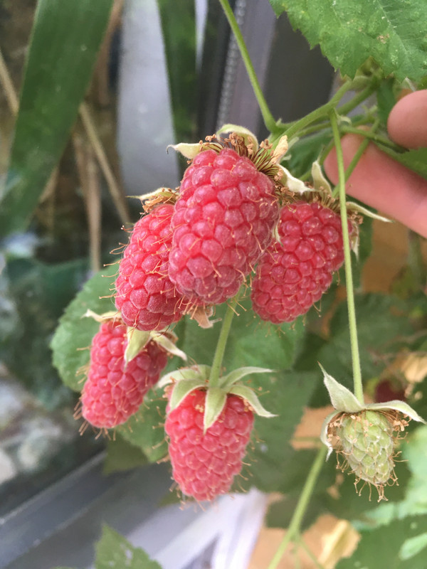 ADF9F7F2-2E5E-4253-B347-98DA759E0258