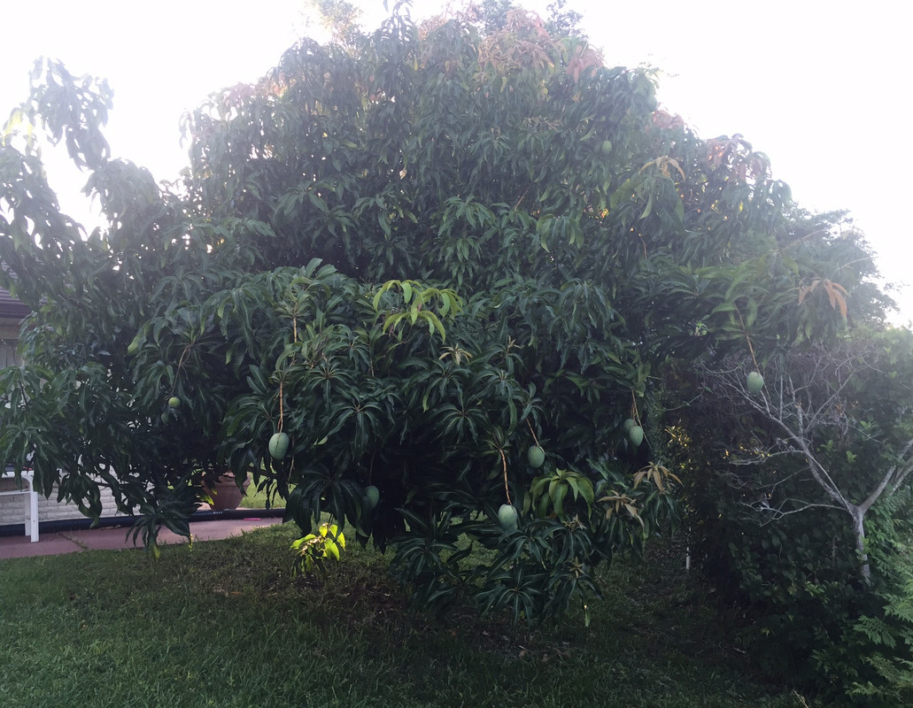 DA198EFB-227F-4198-AEFB-1F36BD274CEE