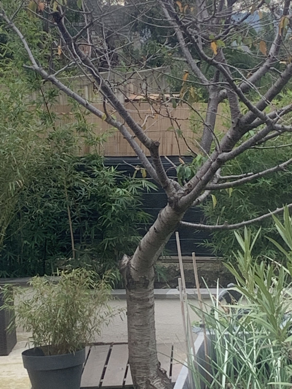 F53938C1-EA2F-411B-8127-14ACDB0DD677