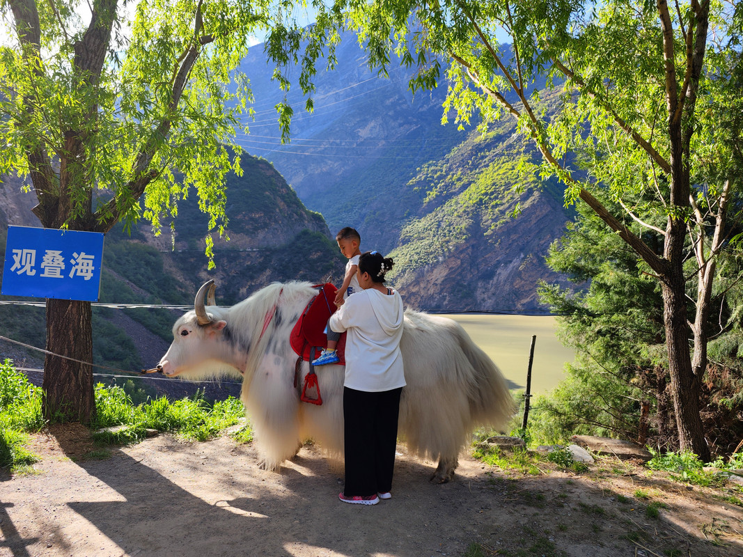 IMG_20230513_170502_副本