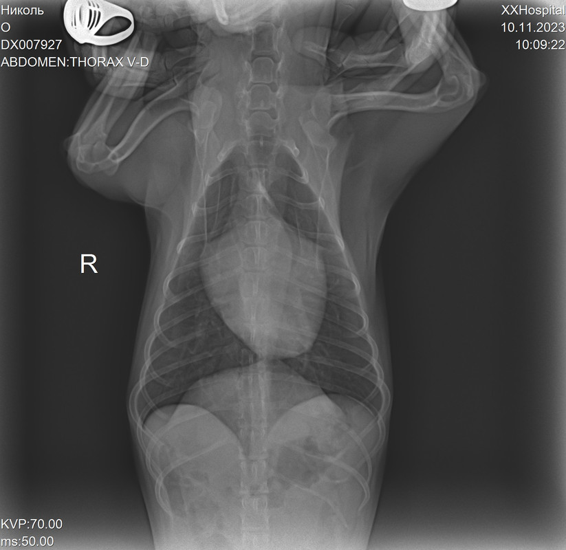 DX007927_3