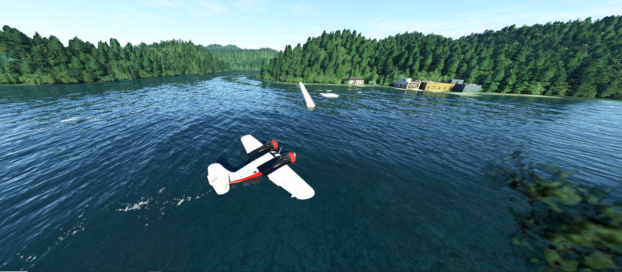 Goose-11.jpg