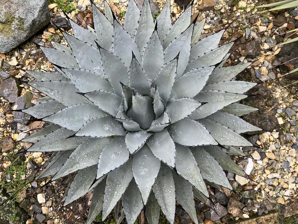 af49de66 e602 4fa5 98ad 3a45c7b36fd2