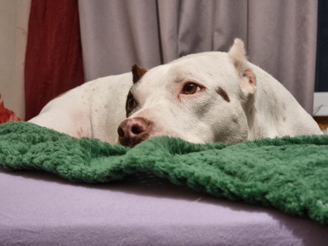 C77523E0-E7DF-4269-B948-03AA601F861D