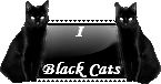 black cats