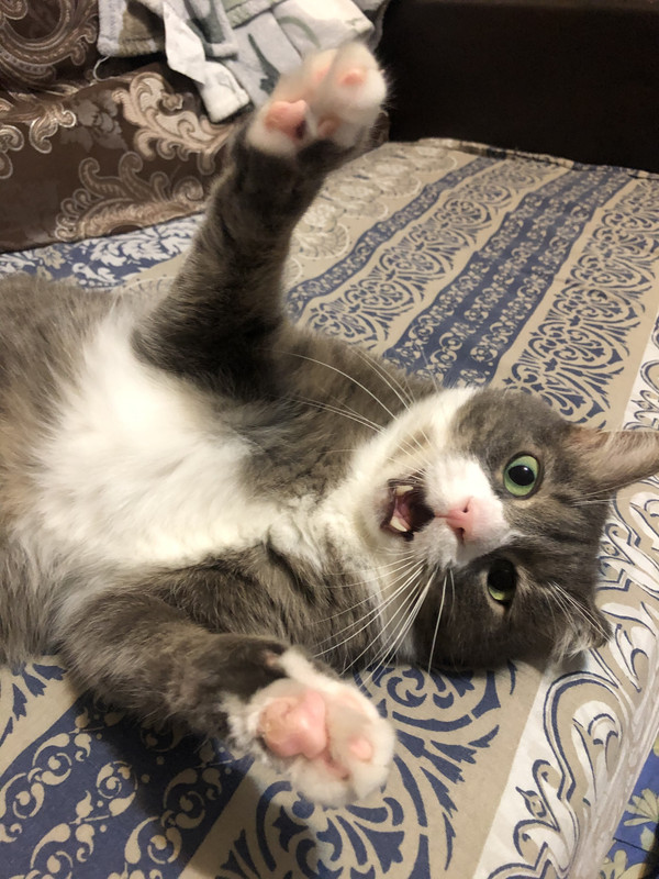 AACED588-3D90-49EF-B267-DE7F6A9E1E21