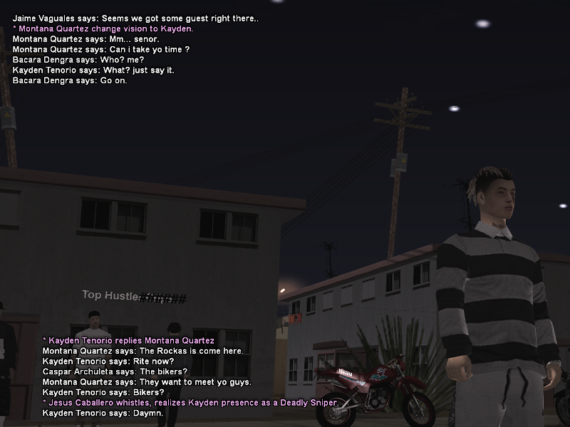 SS1.png
