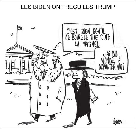 text alternatif