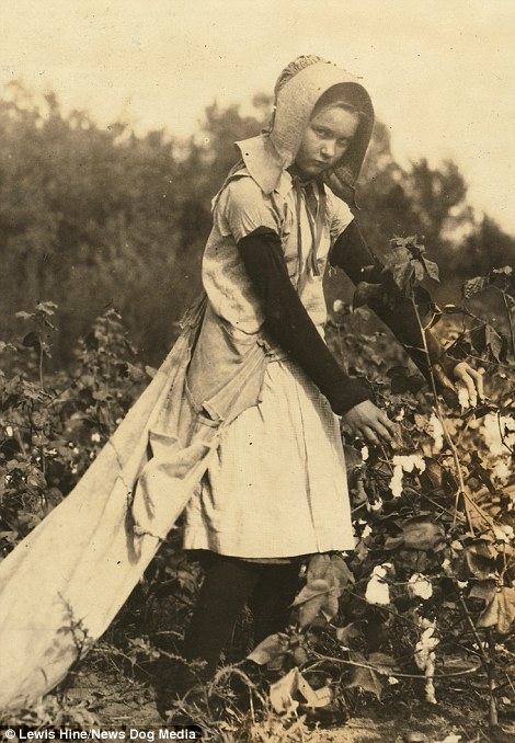11-year-old_girl_picking_cotton_in_Oklahoma