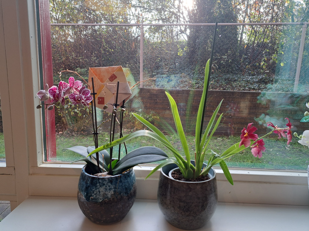 [Image: 20221121-113823.jpg]