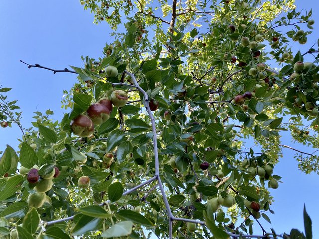 [Image: DD20-F3-D3-D7-CF-4158-9-FE0-2083-C0483-A5-F.jpg]