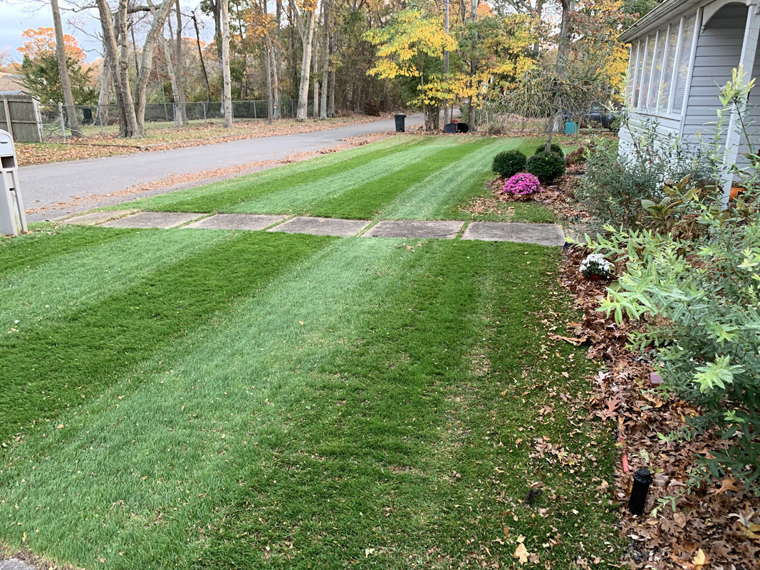 01D05B99-5850-48F7-9BEA-9AE3A9C831E8