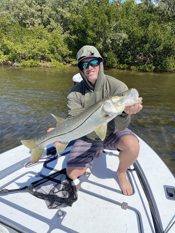 6847C3CB-7DD8-4107-9F4A-54857FECC4B1