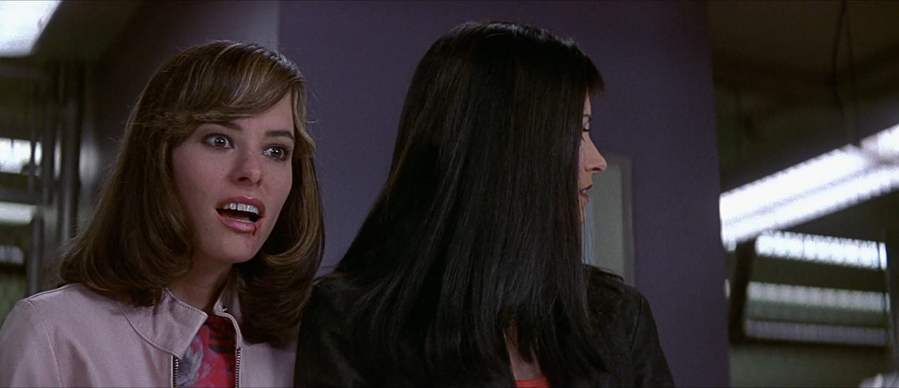 Scream Part 3 2000 BluRay [Hindi + English] 1080p 480p 720p ESub Screenshot