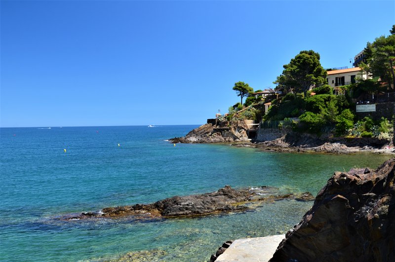 Francia y sus pueblos-2016/2022 - Blogs de Francia - COLLIOURE-28-6-2016 (9)