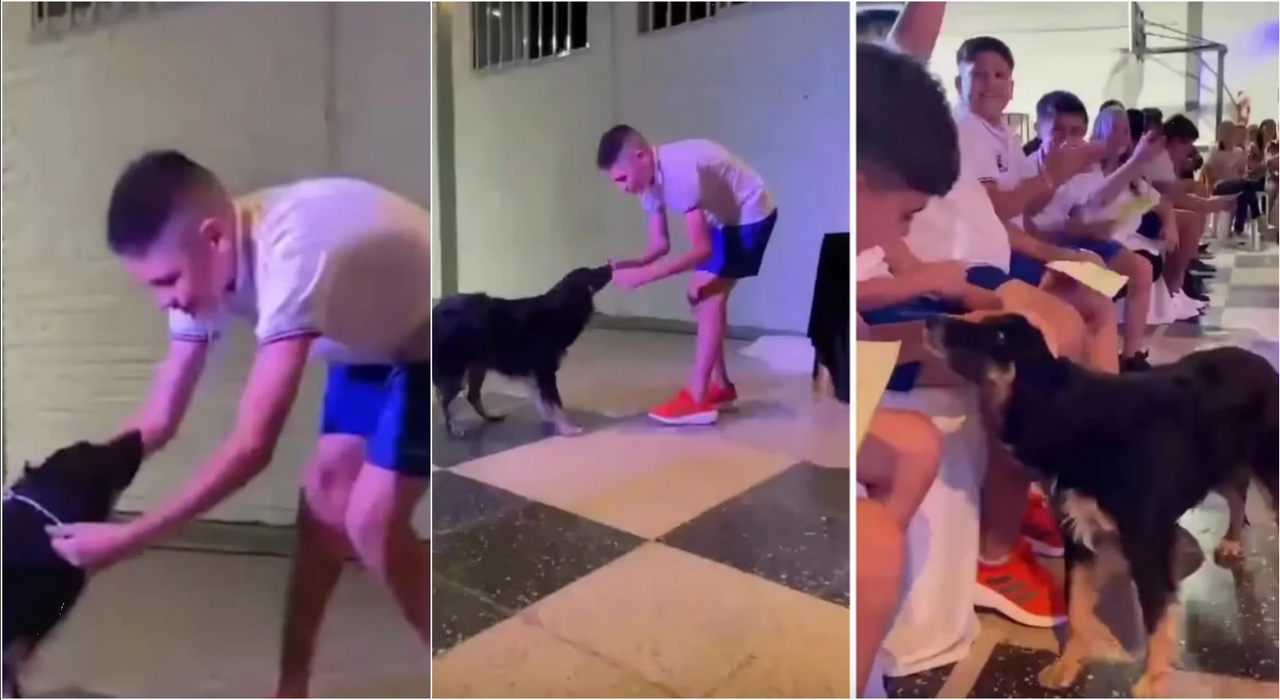 Perrita recibe aplausos por acompañar a un alumno a la escuela en todo el año