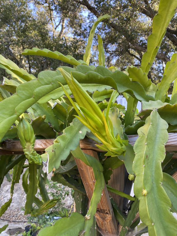 747D10F6-2F94-4E78-BE47-506D91F0F9BB