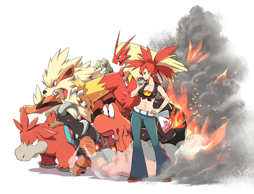 arcanine-blaziken-flannery-houndoom-tork