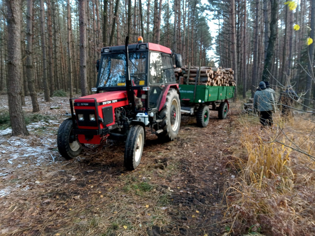 IMG_20241123_094706_MP