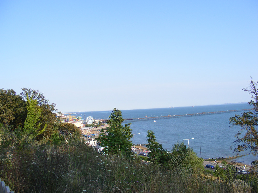 DSCF0233.jpg