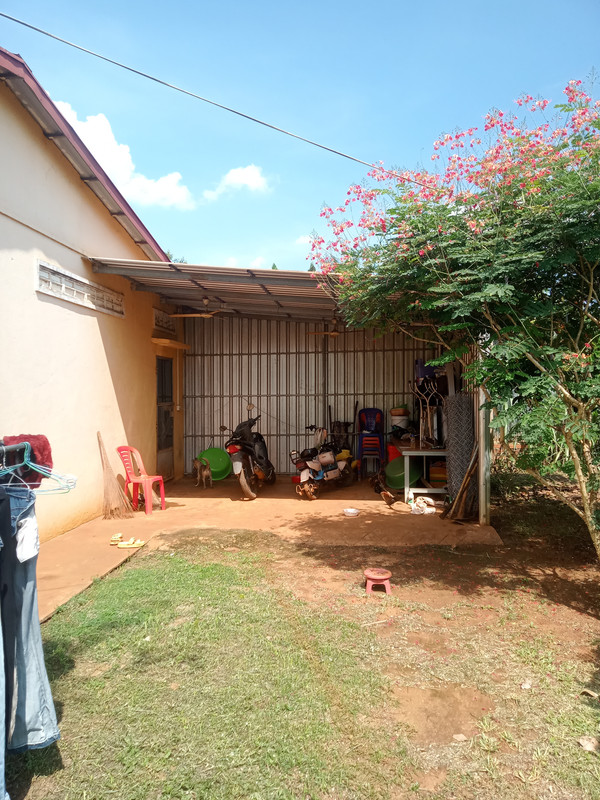 IMG20260612140356