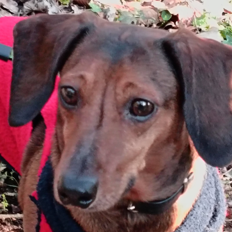 [Image: IMG-20250225-204117.jpg]