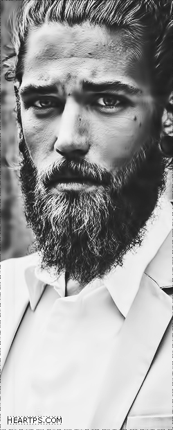 ���� ���� ������ �� ���� ������