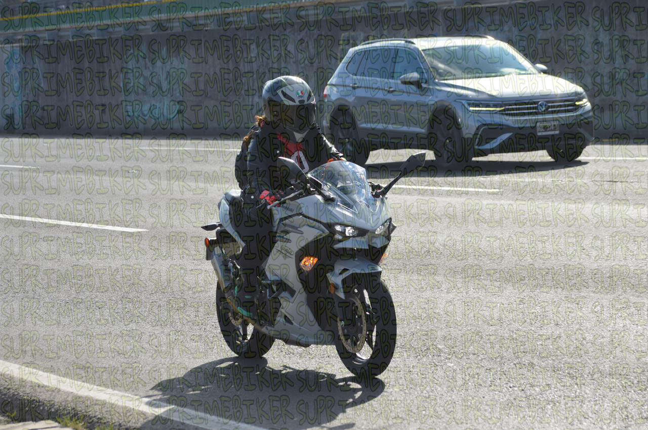 DSC 0154