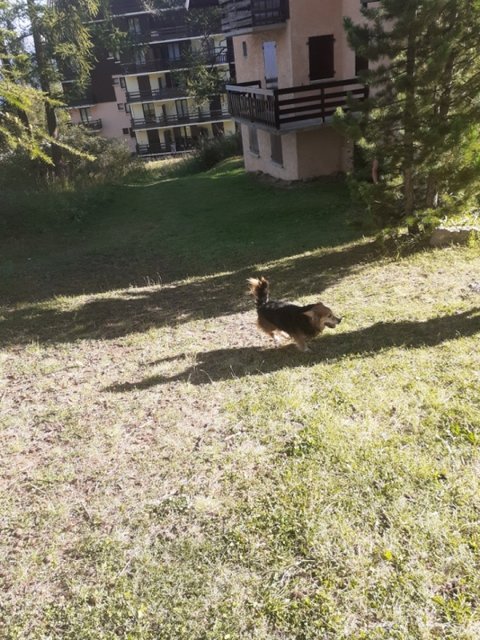 [Image: Resized-20200823-092728-1.jpg]