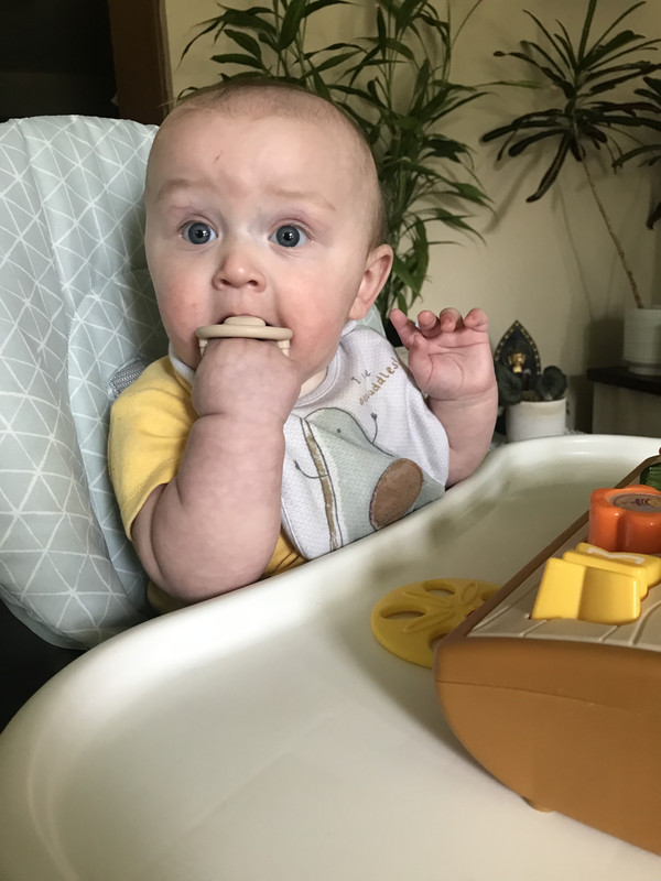 DE40E543-81E3-40A8-93E2-1FA526807006