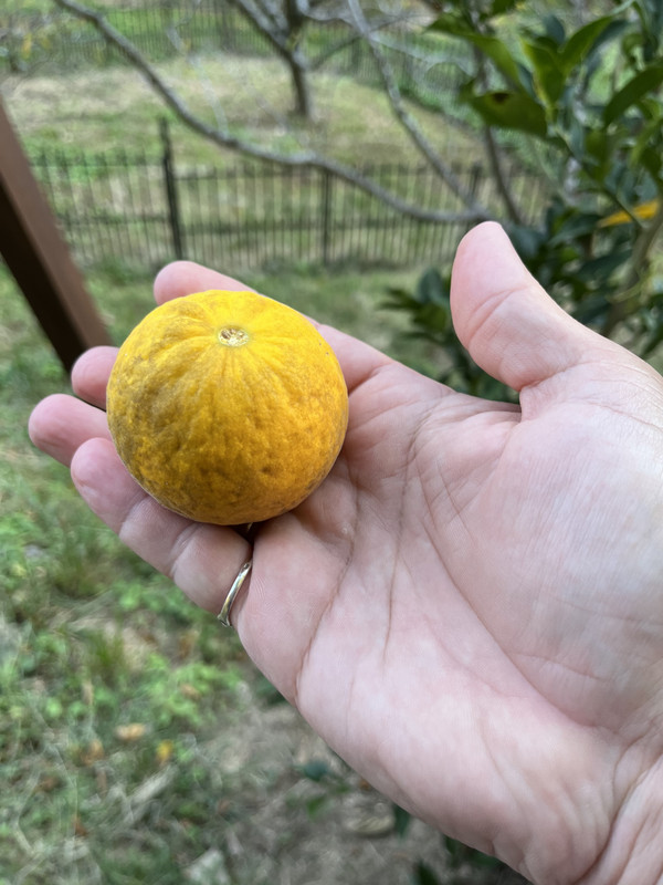 97952327-61A6-4B02-9206-5AAC2BB99A14