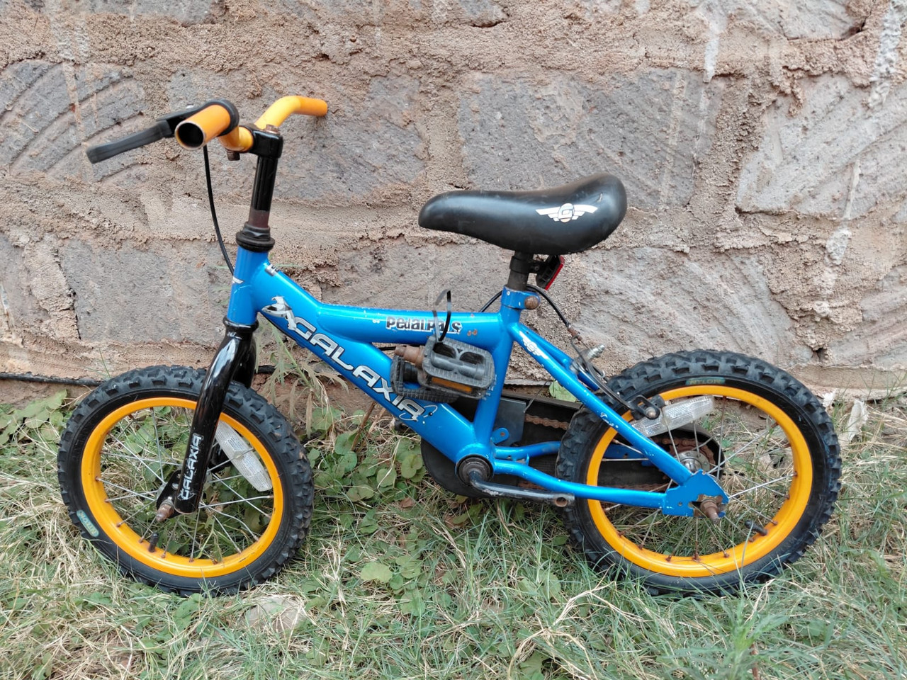 14"Galaxia PedalPals
