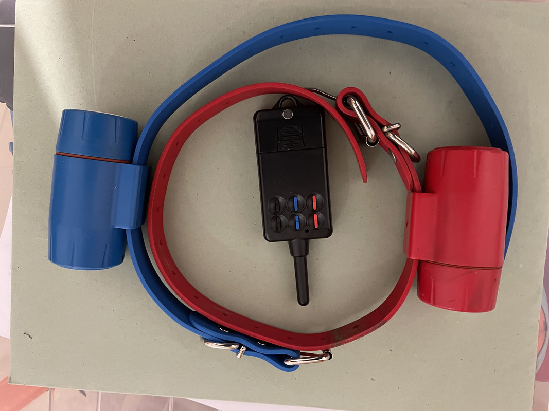 4AB473F5-2E11-4B40-BBA7-235C959C0740