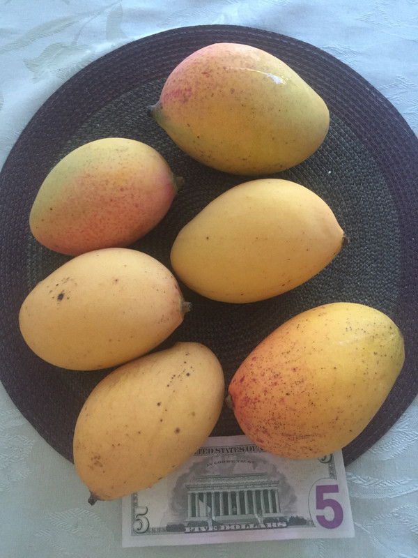 FC4AC787-2493-446C-BE7F-F5937C4C2203