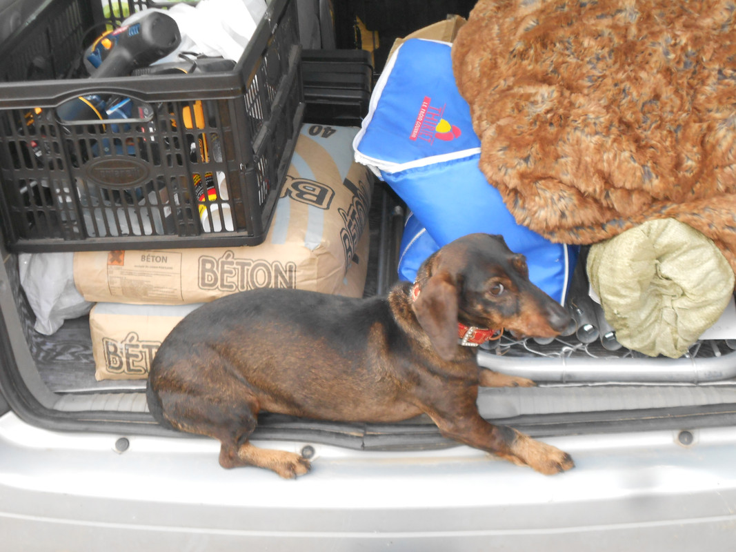 [Image: DSCN3226.jpg]