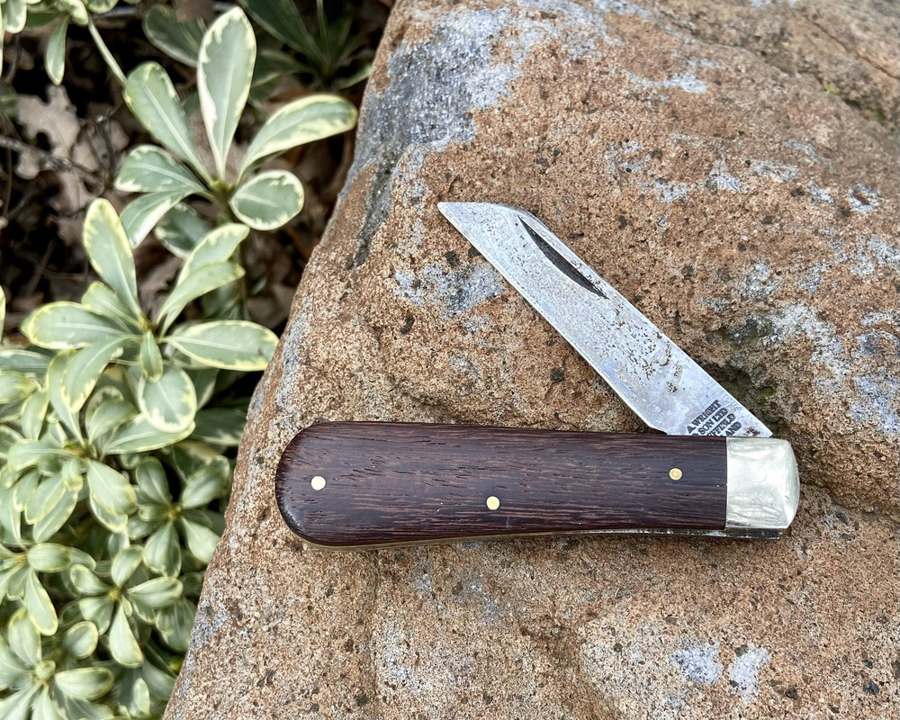 D244387E-36B5-4104-9EFF-21FC348EE70C_1_201_a