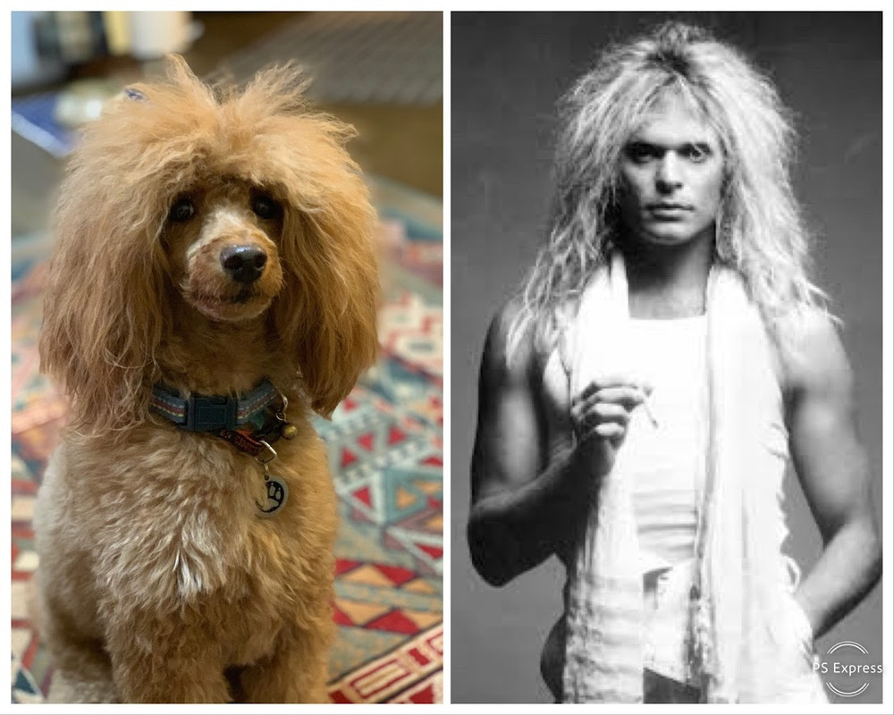 57C65CFE-9B56-4BC6-A120-A2470392F7AA