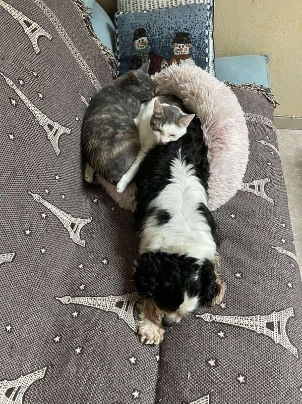 E1104C2A-A03B-4C51-AB9F-E96A850338BA