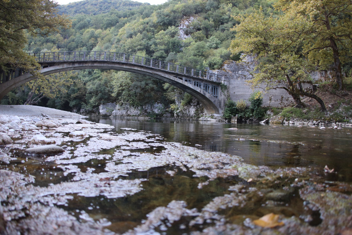 Εικόνα