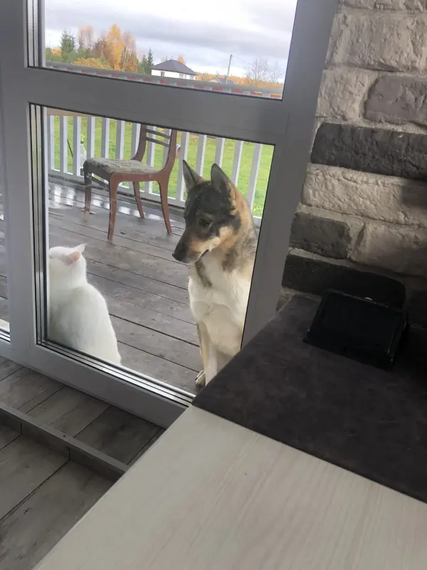 JW8-UDLEUIZK_qxeEMFmklb3uHf2J694BnzKODZh2YdfevvB0LXQFOrOQo3WoN68LySQroxhc3otvhbfUgA3jD7X