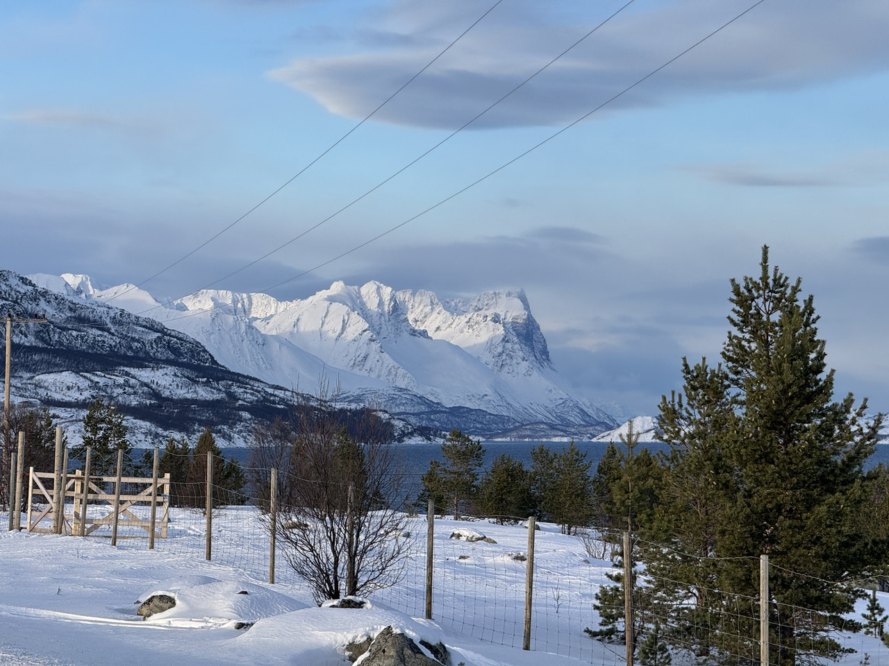 [Immagine: IMG-7923.jpg]