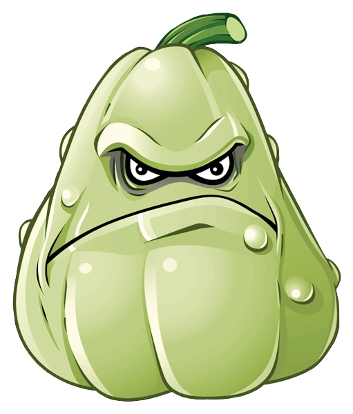 squash.webp