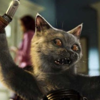 cool-for-cats-alt13.jpg