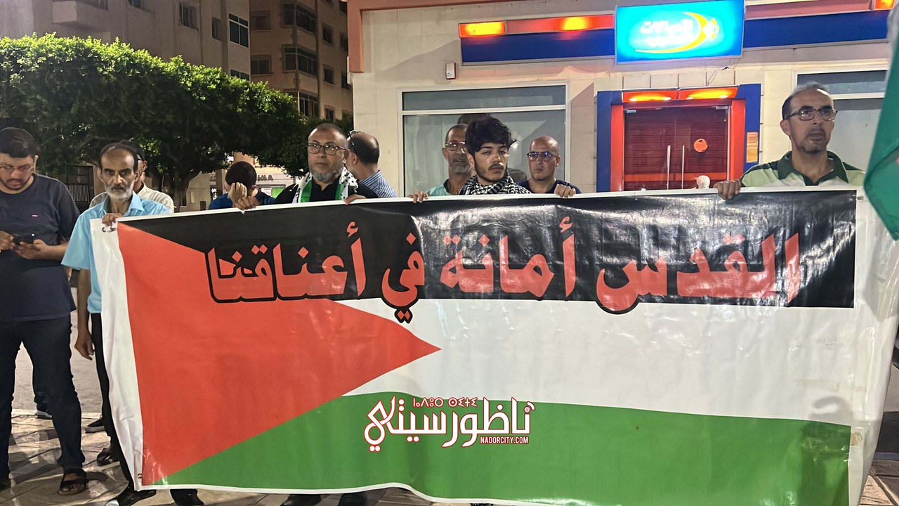 WhatsApp Image 2024-07-31 at 21.17.03 (4)