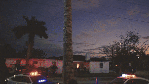 ilimv1camila5.gif