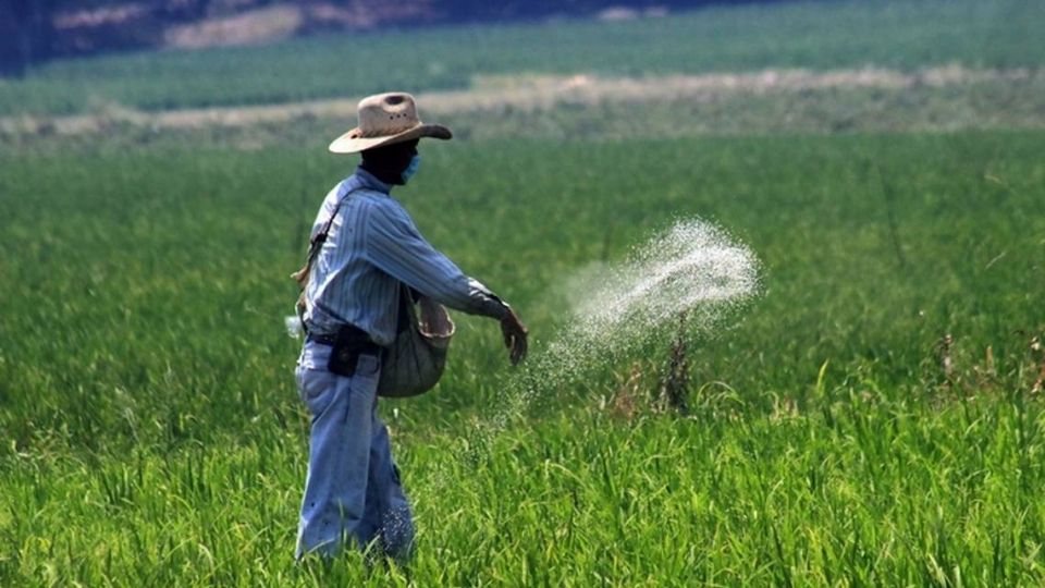 Pemex: Programa de fertilizantes gratuitos se expandirá en todo México este 2023
