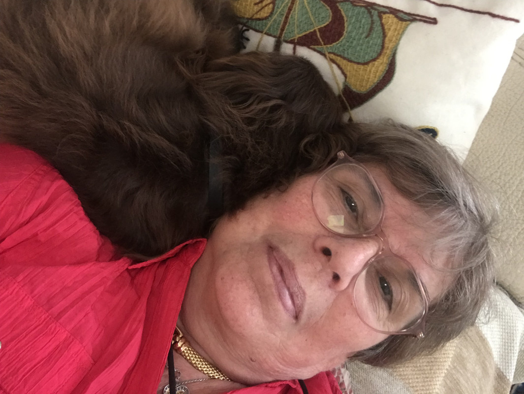 [Image: 3-BE8-FE62-42-A7-48-E9-921-A-2594-EA6-AB6-E5.jpg]